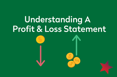 Understanding A Profit and Loss Statement?